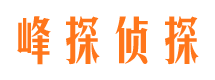 市中市婚姻调查